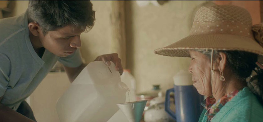 "102 Millones", de Young & Rubicam para Fundación Vida Silvestre
