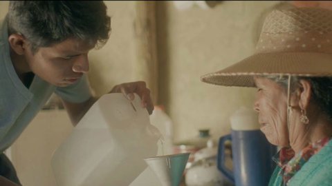 "102 Millones", de Young & Rubicam para Fundación Vida Silvestre