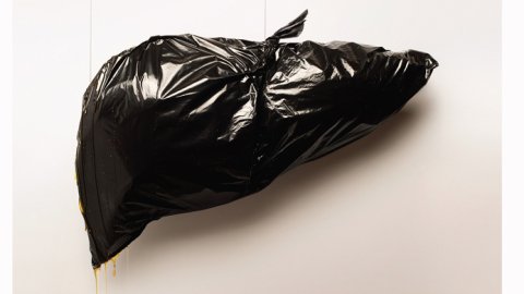 Grupo DDB desarrolló campaña para la Fundación de Trasplante Hepático