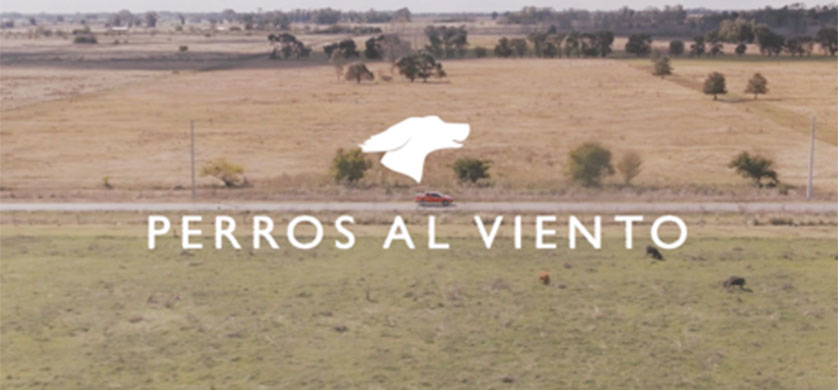 "Perros al viento", de Niña para Fiat y El Campito Refugio