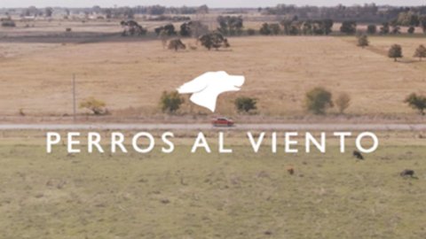 "Perros al viento", de Niña para Fiat y El Campito Refugio