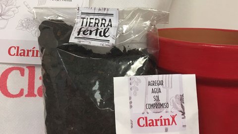 Agea celebró el Día del Medio Ambiente