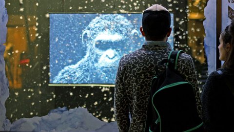 5seis creó una vidriera interactiva para “El Planeta de los Simios: La guerra”