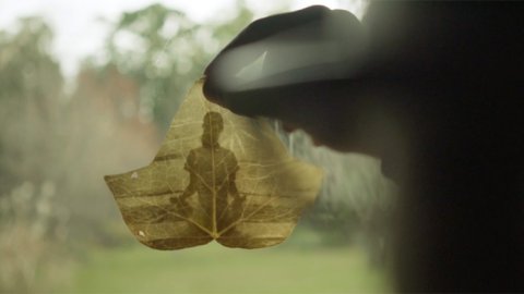 Lo nuevo de Amén Uruguay para la Selva