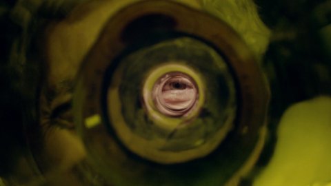 "Curiosidad", el comercial de The Juju para TEDx Río de la Plata