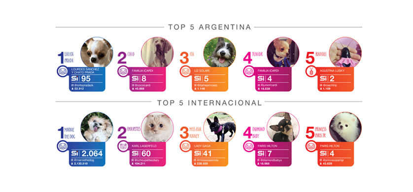 Mascotas influencers, la nueva tendencia en las redes