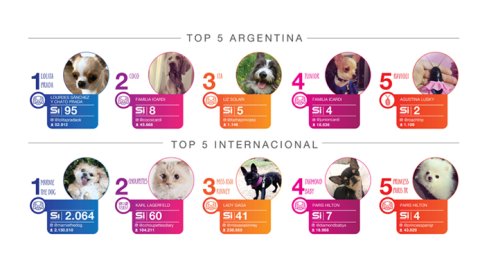 Mascotas influencers, la nueva tendencia en las redes