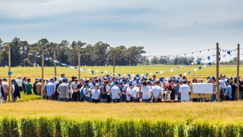 Cervecería y Maltería Quilmes inauguró la primera Maltería Verde del país