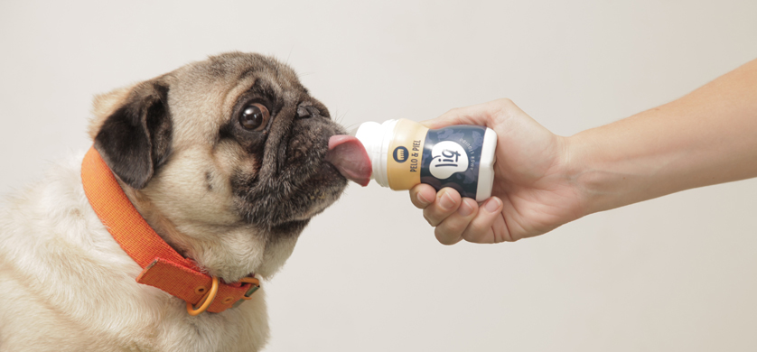 Pet Drink y +Castro crearon el primer snack líquido para perros y gatos