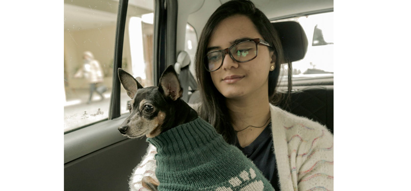 15 mil mascotas viajaron en Easy Taxi
