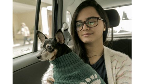 15 mil mascotas viajaron en Easy Taxi
