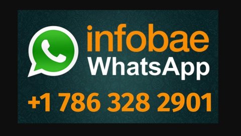 Infobae comenzó a enviar noticias a través de WhatsApp