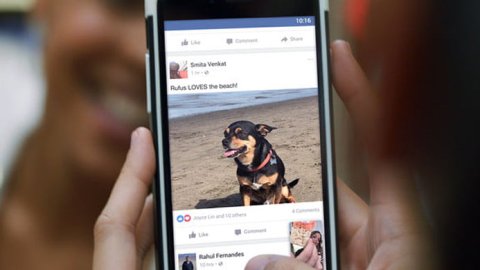 Facebook da marcha atrás con la idea de excluir a los medios de los muros