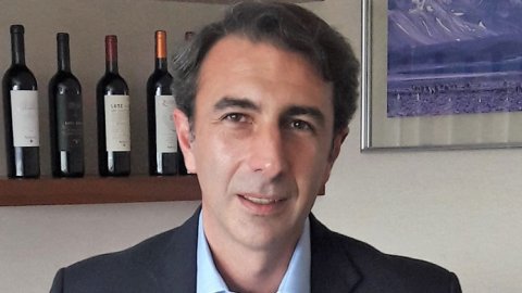 Bodega Norton designó nuevo CFO
