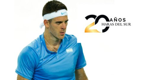 Haras del Sur eligió a Juan Martín del Potro como Embajador de Marca