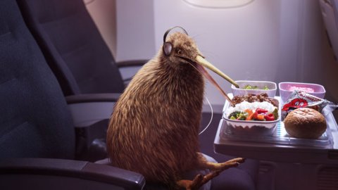 La primera campaña global de Air New Zealand aterriza en Argentina