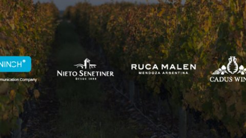 Nieto Senetiner, Cadus Wines y Ruca Malén eligieron a Ninch