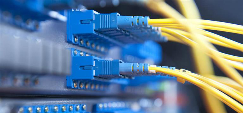 El 80% de los usuarios de Internet se conecta desde el celular