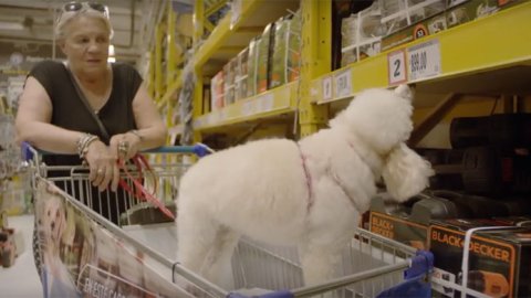 "Sabuesos de oportunidades", la campaña de McCann Buenos Aires para Sodimac