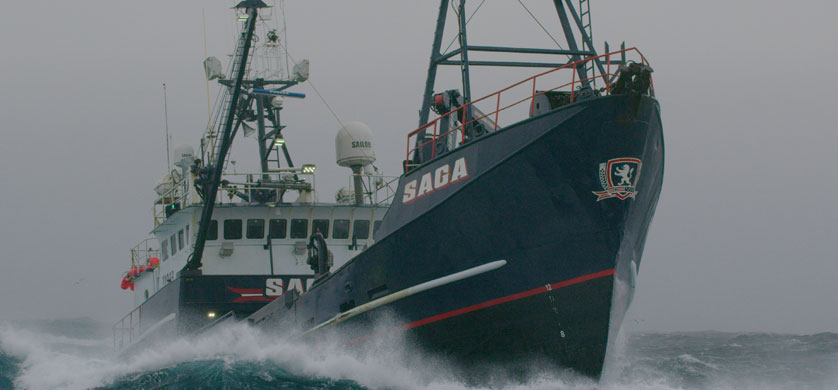 Discovery Channel vuelve a poner al aire “Pesca Mortal”