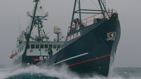 Discovery Channel vuelve a poner al aire “Pesca Mortal”