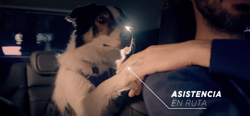 "Full Dog", lo nuevo de Niña para FIAT
