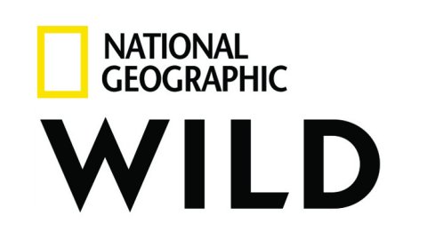Desde septiembre Nat Geo Wild será National Geographic Wild