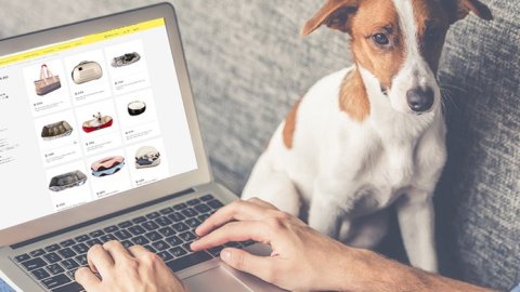 Más de 580 mil personas obtienen un ingreso significativo gracias a Mercado Libre