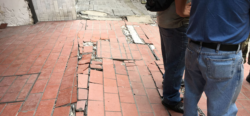 History presenta “Terremoto en tiempo real”