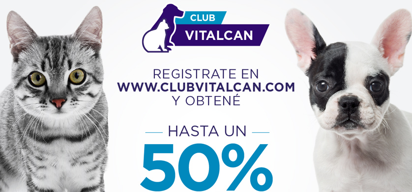Rapp Argentina presentó Club VITALCAN