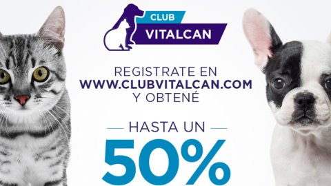 Rapp Argentina presentó Club VITALCAN