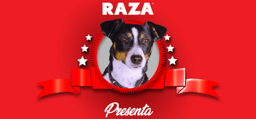“Amor en barritas”, la nueva campaña de Crossover para Raza