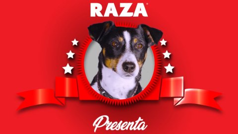 “Amor en barritas”, la nueva campaña de Crossover para Raza