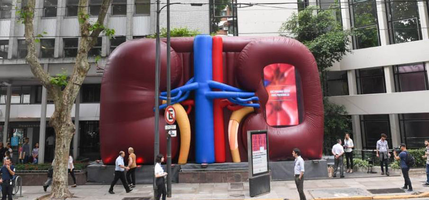 "Viaje al centro del riñón", por Barbella CB para el Hospital Alemán