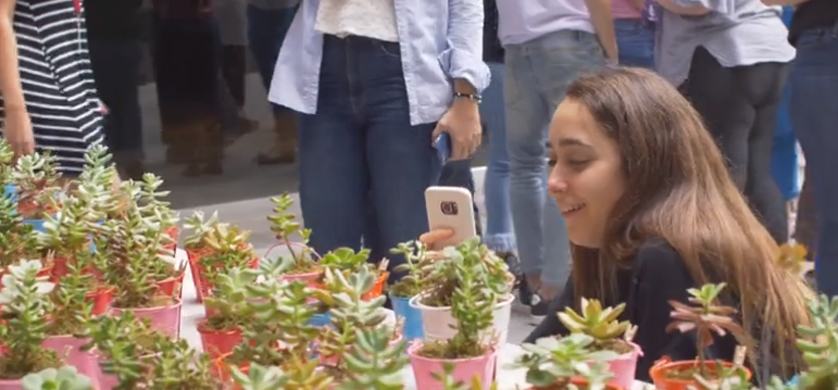 Havas se mudó y llevó más verde a Villa Crespo