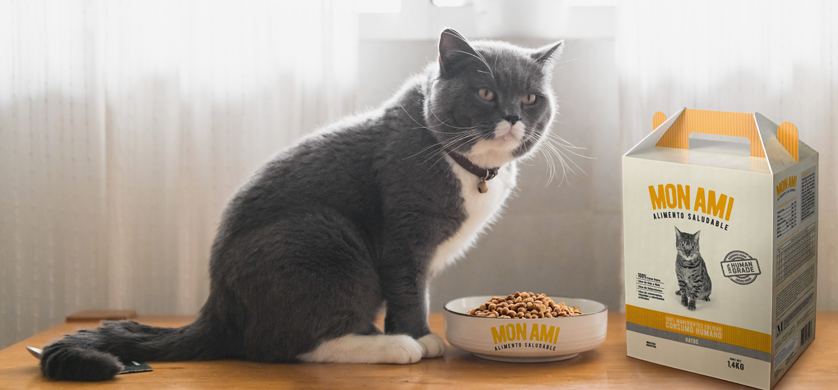 “Mon Ami Gatos”, el nuevo spot digital de alimentos para mascotas saludables