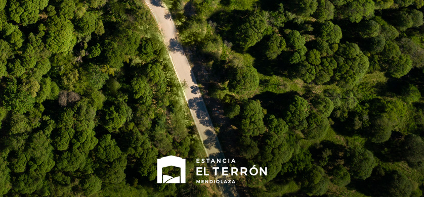"Sin palabras", lo nuevo de RAPP para Estancia El Terrón