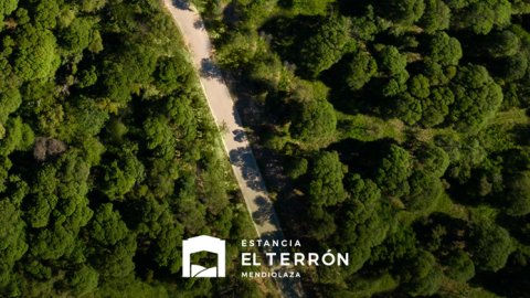 "Sin palabras", lo nuevo de RAPP para Estancia El Terrón