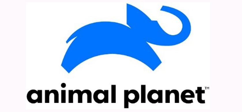 Animal Planet renueva su imagen en Latinoamérica