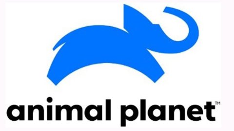 Animal Planet renueva su imagen en Latinoamérica