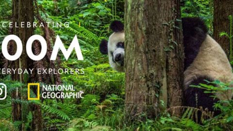 @NatGeo, alcanzó los 100 Millones de seguidores en Instagram