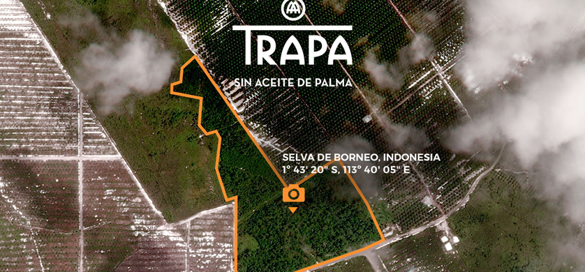 Una campaña de una chocolatera española salva parte de una selva