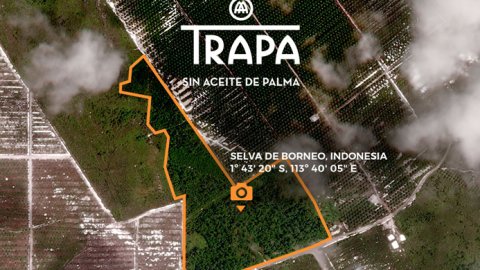 Una campaña de una chocolatera española salva parte de una selva