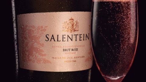 Bodegas Salentein eligió a Geometry Argentina