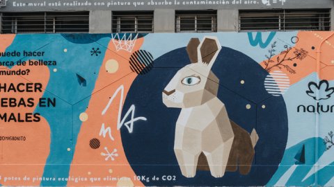 Natura presenta un mural de impacto ambiental positivo en la Ciudad de Buenos Aires