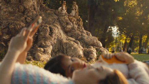 Iúnigo lanzó "Bebés" y "Ardillas", los dos nuevos comerciales de su campaña