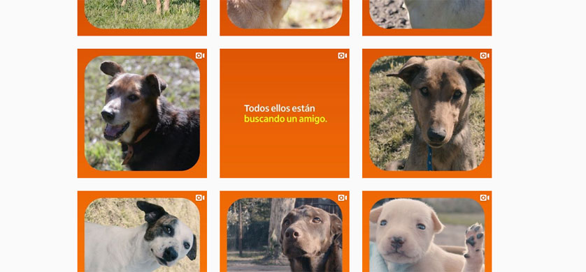Itaú celebró el Día del Amigo con una campaña junto a Soplo de Vida