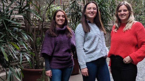 Nuevas incorporaciones y promociones en ITALIA
