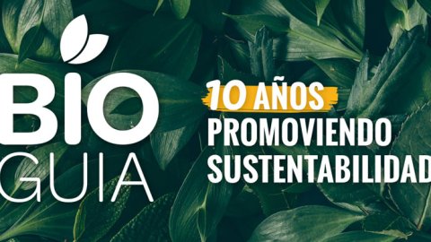 La comunidad con mayor impacto positivo en el mundo cumple 10 años