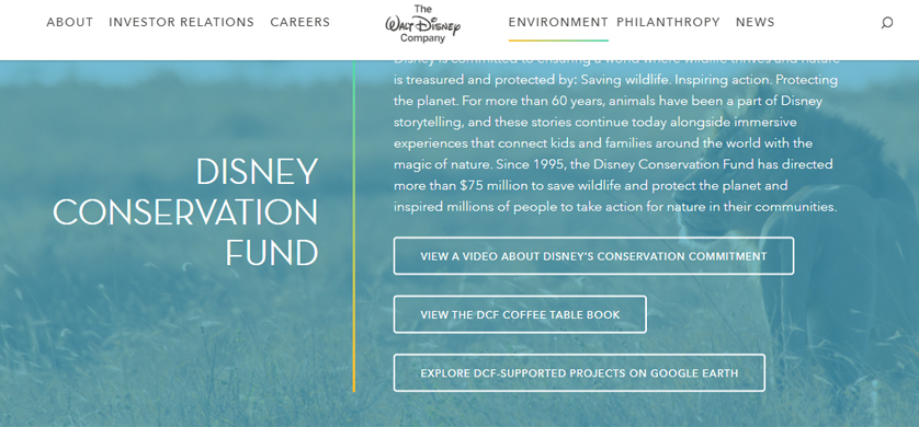 Nueva convocatoria del fondo para la conservación de Disney